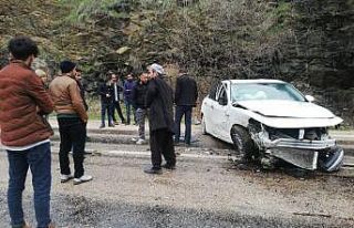 Freni boşalan otomobil şarampole yuvarlandı: 1...