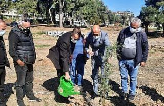 Gazeteciler 250 adet fidanı toprakla buluşturdu