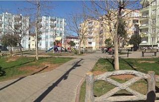 Gaziantep’te pitbull kavgası: 1 yaralı