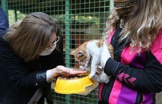 Gaziantep’te sokak hayvanları için iş birliği