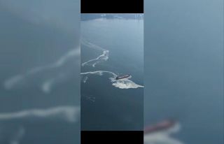 Gemlik Körfezi’nde kirlilik alarmı