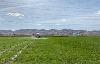 Gercüş’te çiftçilerin bahar mesaisi başladı