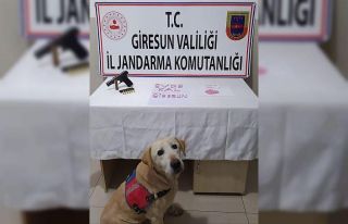 Giresun’da 220 adet uyuşturucu hap ele geçirildi