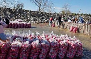 Gizemli hayırsever poşetle getirdiği parayı turp...