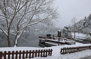 Gölcük Tabiat Parkı beyaz örtüyle kaplandı