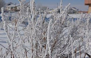 Göle, Sibirya gibi: Termometre eksi 22 dereceyi gösterdi