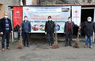 Gümüşhane’de üreticilere 4 bin adet yerli meyve...