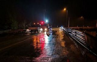 Hafif ticari araç otomobil ile çarpıştı : 1’i...