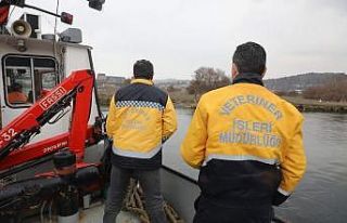 Haliç’te köpek kurtarma operasyonu