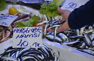 Hamsi kırmızı etle yarışıyor: Fiyatı 40 lira
