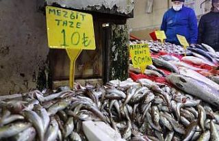 Hamsi yerini mezgide bıraktı