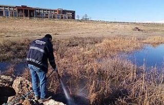 Haşere ilaçlaması başladı