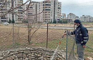 Haşereden uzak bir yaz mevsimi için çalışılıyor