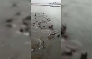 Hatay’da deniz suyu önce çekildi sonra yeniden...