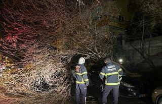 Hatay’da etkili olan fırtına araçlara zarar verdi