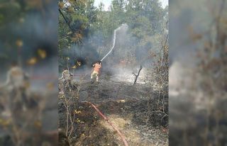 Hatay’da orman yangını