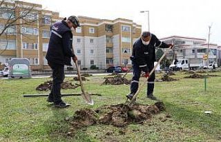 Hayatını kaybeden sağlıkçılar için fidan dikildi