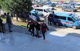 Hayvan hırsızlığı şüphelileri adliyede