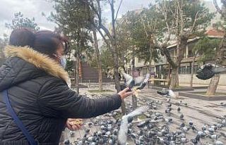 Hayvan sevgisi bu olsa gerek