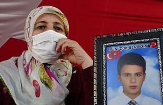 ‘HDP olmasaydı, PKK olmazdı’ diyen Diyarbakır...