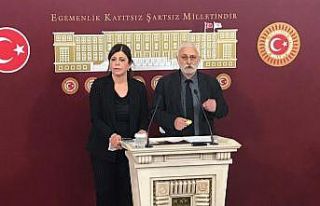 HDP’li Bektaş’tan ’Gergerliğoğlu’ yorumu