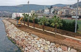 Hereke Sahilini palmiye ağaçları süsleyecek