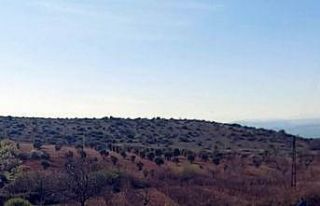 Hudut Kartalları sınırda kuş uçurtmuyor