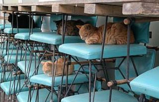 İç ısıtan görüntü