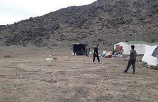 Iğdır’da ’canlı mühre’ ile keklik avlayan...