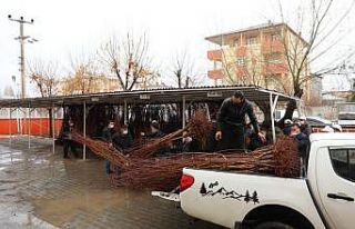 Iğdır’da çiftçilere kayısı fidanı dağıtıldı