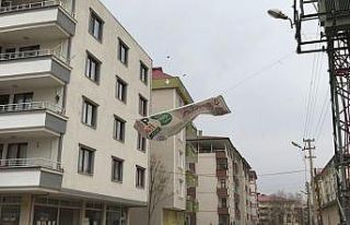 Iğdır’da fırtına hayatı olumsuz etkiledi
