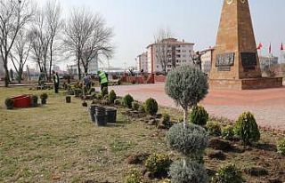 Iğdır’da şehitler anısına fidan dikildi