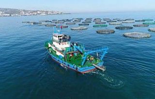 İhracatı son 5 yılda 25 kat arttı