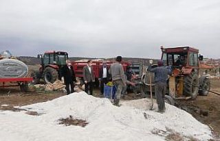 İmece usulü mezarlık genişletme çalışmaları