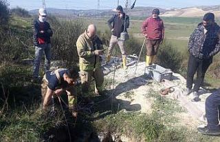 İnek 15 metrelik define kuyusuna düştü