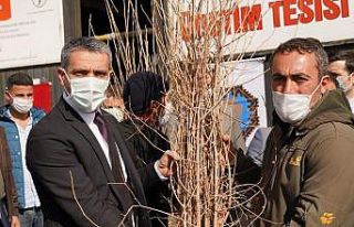 İpek böceği üretimine Diyarbakır Büyükşehir...