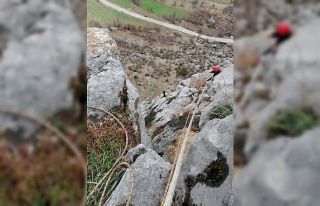 İtfaiye ekipleri uçurumda mahsur kalan keçiyi kurtardı