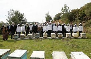 İzmir’de 100 Roman kadına, 1000 arı kovanı teslim...