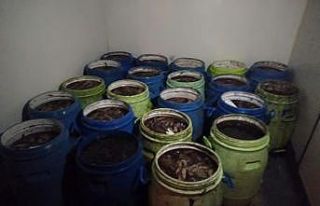 İzmir’de 1 ton deniz patlıcanı ve 1 ton akivades...