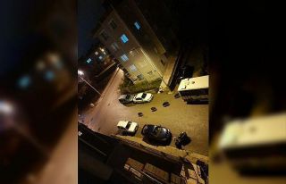 İzmir’de aç kalan domuz sürüsü şehre indi