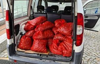 İzmir’de kaçak yollarla avlanan 400 kilogram midye...