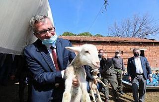 İzmir’de orman köylerine yüzleri güldüren 3...