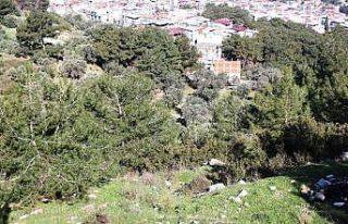 İzmir’de ormanlık alanda kafatası ve kemik parçaları...