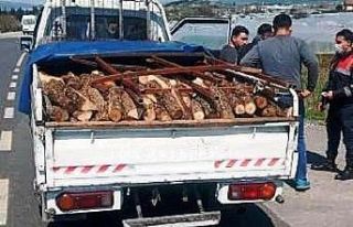 İzmir’de yaşlı kadını evinde gasp eden 3 şüpheli...