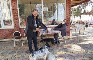 İznik’te köpeklere kuduz aşısı