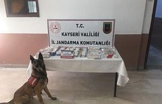 Jandarma 244 personelle 400 noktada ‘Narkotik ve...