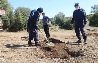 Jandarma fidan dikti