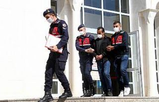 Jandarma günlerce iz sürdü, suçluyu yakaladı