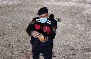 Jandarma yaban keçilerine saman, balıklara drone...