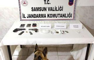 Jandarma zehir tacirlerine geçit vermiyor: 1 tutuklama,...